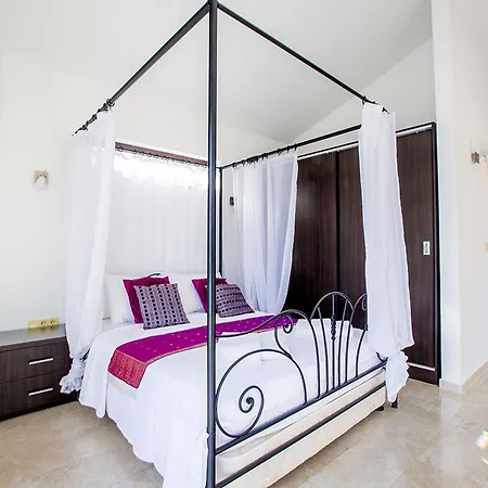 Villa Venus